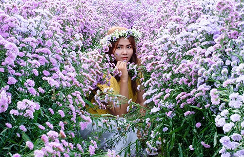 Asian woman sitting in a field of flowers