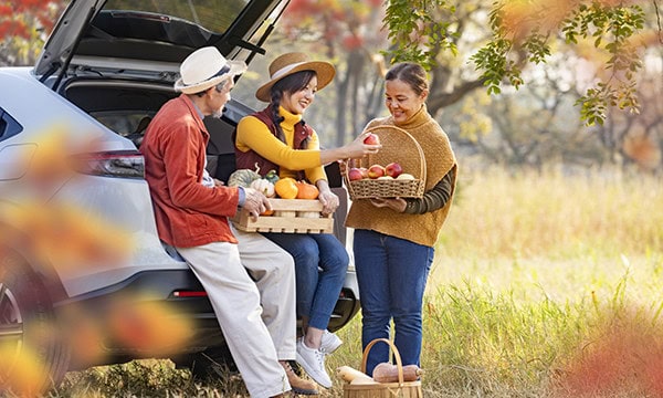 Group of three adults picking apples in the field