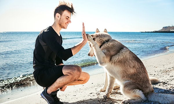 Young man and his large dog sharing a high five