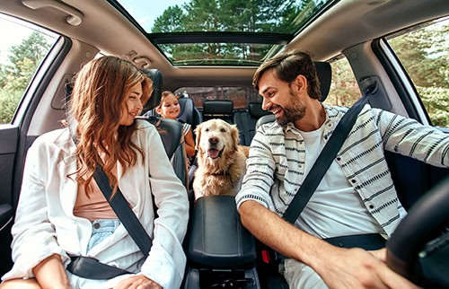 Family on a road trip with their large dog
