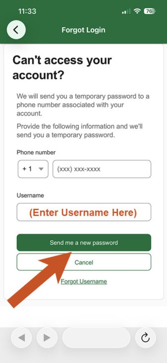 App screen with an arrow pointing to the Send Me a New Password link