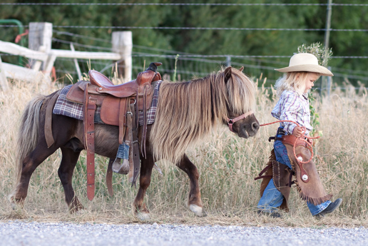 Little girl leading pony