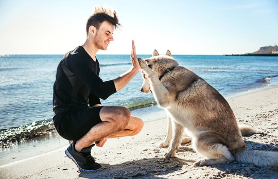 man at beach with big dog