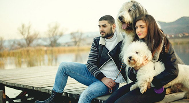 Couple on a lake dock with their two dogs