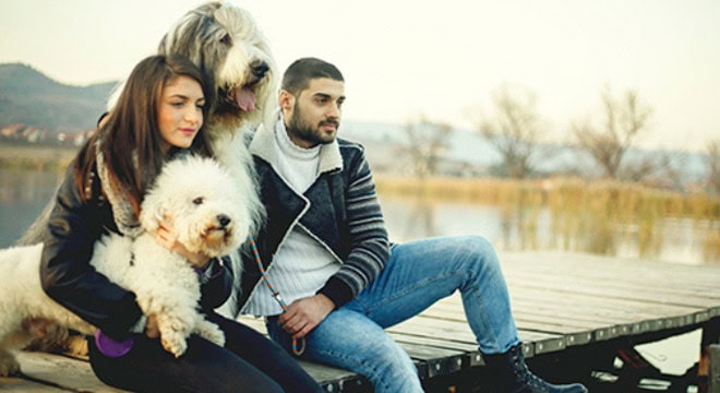 Young couple sitting on lake dock with their dogs and looking into the distance