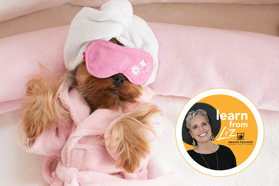 Yorkie in robe and eye mask