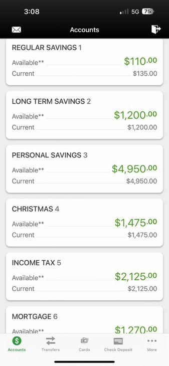 View Your Accounts Screen