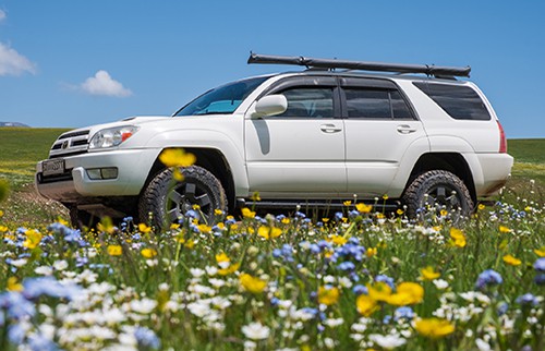 White SUV in meadow