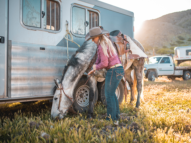 horse rider near trailer