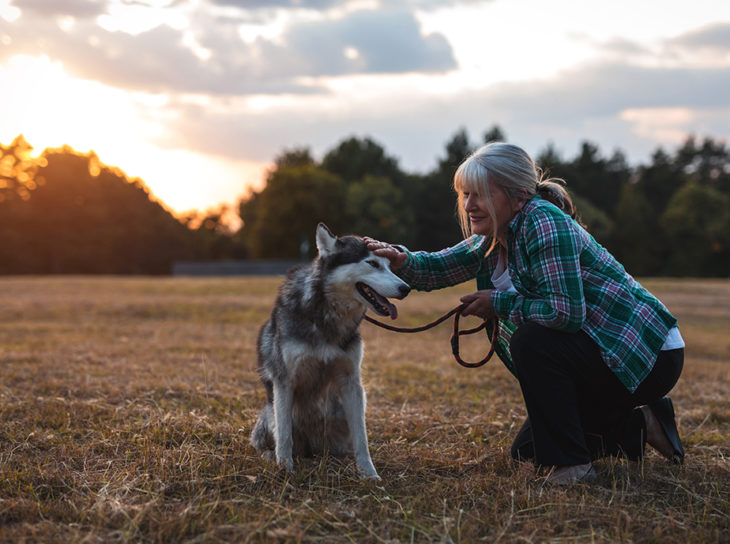 woman playing with dog at sunset